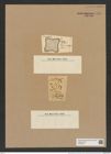 Amphitetras ingloria (Grev.) D-Toni (de-Toni-Nr.: Genus 137, Species 3613) Zeichnungen Sammlung Grunow Nr. 7114 (NHMW-BOT-W0376073)